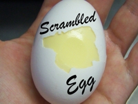instructables ATTILAtheHUNgry Uncracked Scrambled Eggs